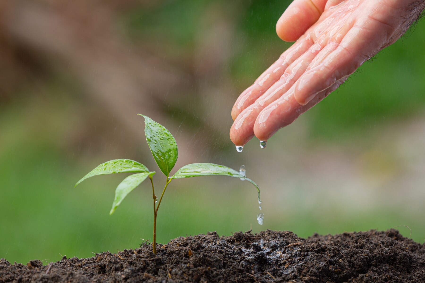 Read more about the article FAITHFUL STEWARDSHIP – THE BRIDGE TO SUPERNATURAL INCREASE